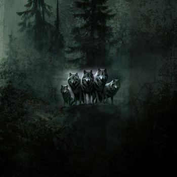 Preview: SET Wolves - Kunstleder - Taschenpanel